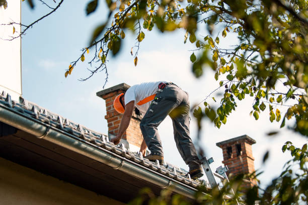 Best Local Roofing Companies  in Baraga, MI
