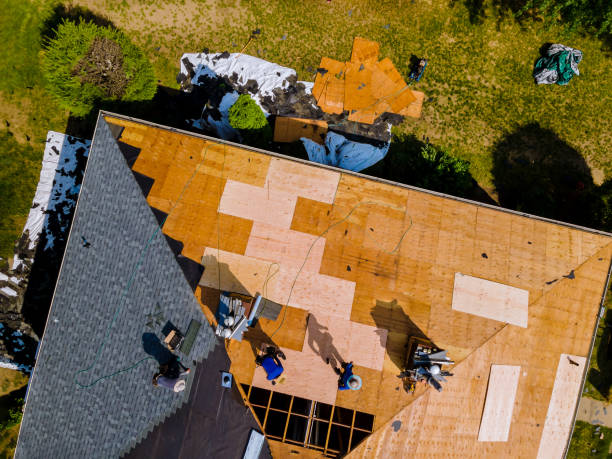 Best Roof Repair Services  in Baraga, MI