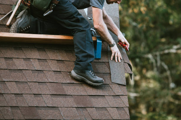 Best Local Roofing Companies  in Baraga, MI