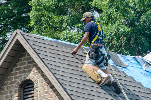 Best Affordable Roofing Company  in Baraga, MI